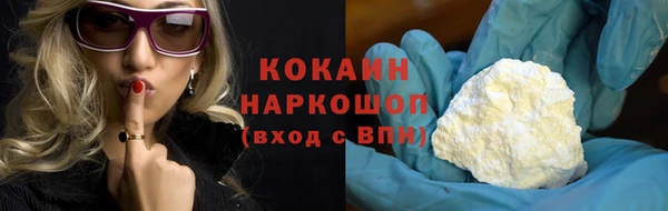 крисы Белокуриха