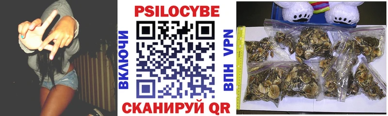 Псилоцибиновые грибы Psilocybe  MEGA ссылка  Рудня 